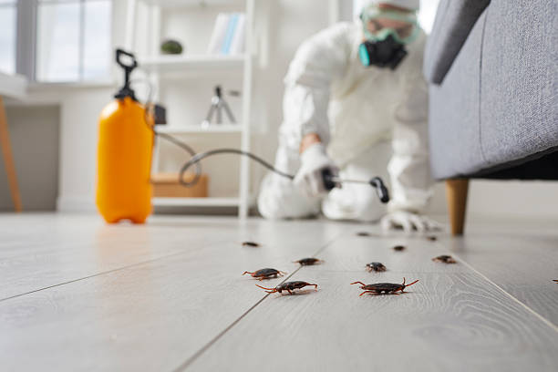 Commercial Kitchen Cockroach Control in Wetumpka